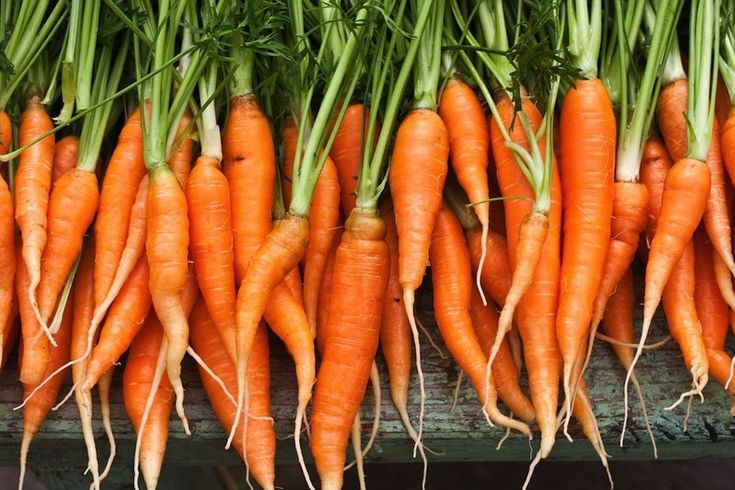 Organic Carrots